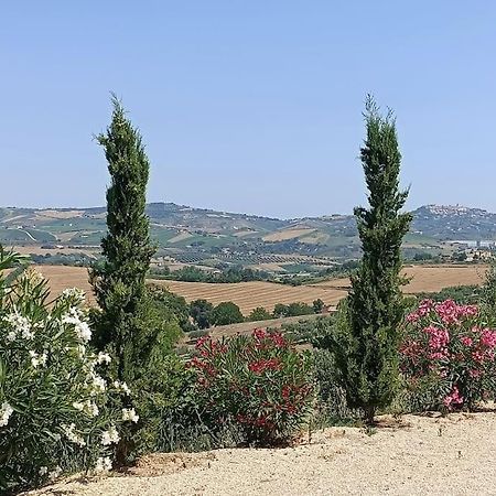 Appartamento Olivo Collecorvino Eksteriør bilde