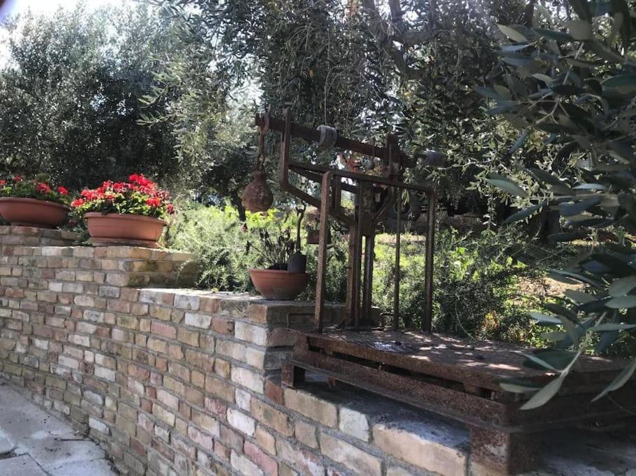 Appartamento Olivo Collecorvino Eksteriør bilde