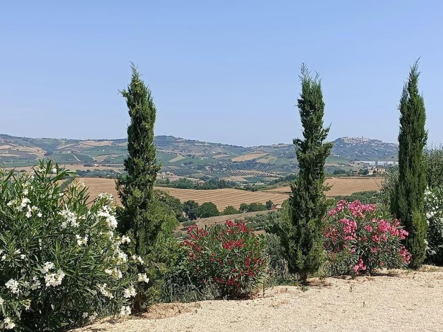 Appartamento Olivo Collecorvino Eksteriør bilde