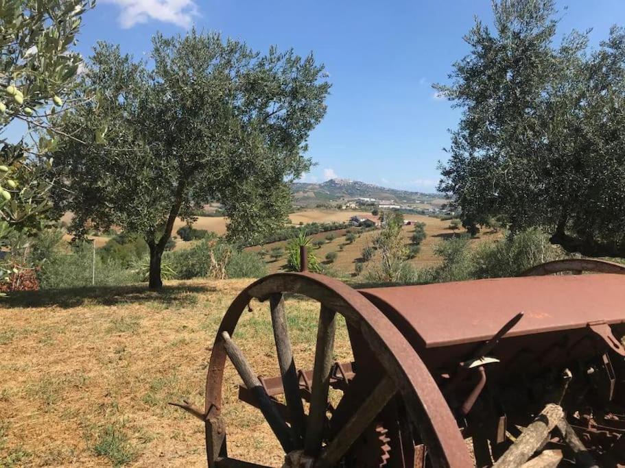 Appartamento Olivo Collecorvino Eksteriør bilde